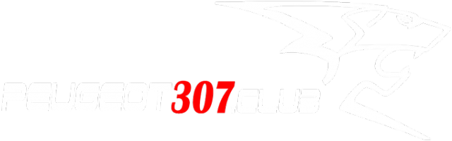 Koszulka Peugeot 307 Club