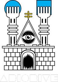 KOSZULKA ADIORIVE / herb PŁOCKA