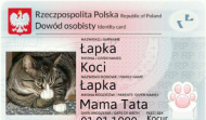 legalne