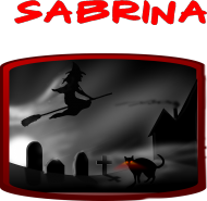 Sabrina - witch and cat - bluza damska