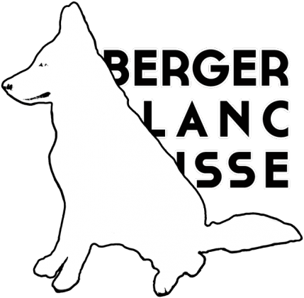 Berger Blanc Suisse