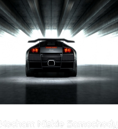 Bluza Kocham Niskie Samochody #4