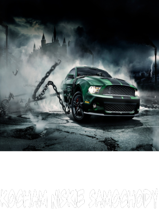 Bluza Kocham Niskie Samochody #4