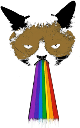 GRUMPY CAT RZYGAM TĘCZĄ