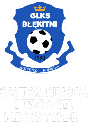 Jestem kibicem i tego się nie wstydzę koszulka