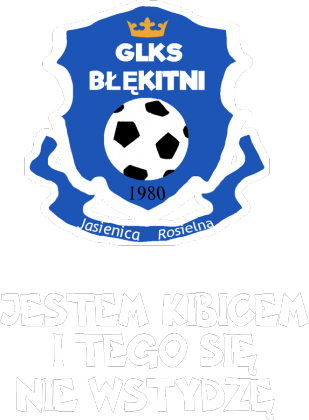 Jestem kibicem i tego się nie wstydzę koszulka