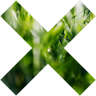 Seria X - model Blurred Grass