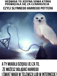 Hedwigaa