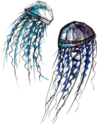 Kubek JellyFish