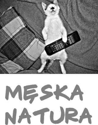 męska natura