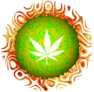 Bluza "Sun" WeedLovers