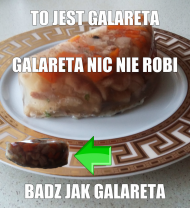 bluza mem GALARETA damska