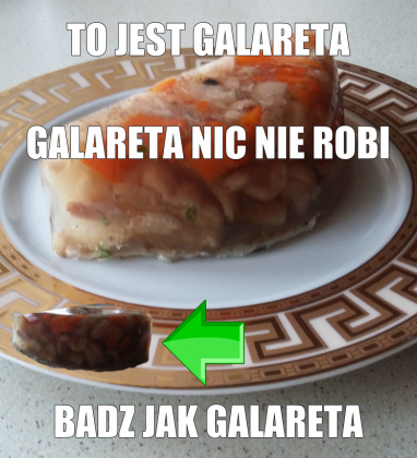 bluza mem GALARETA damska
