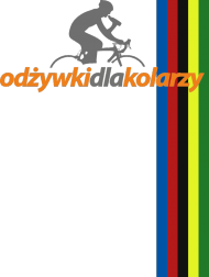 koszulka mistrz świata 2