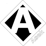 Koszulka Asek chłopięca wzor1