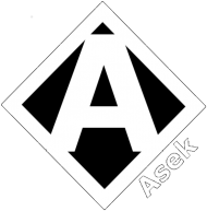 TorbaNaZakupy Asek