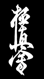 Koszulka Karate Kyokushin