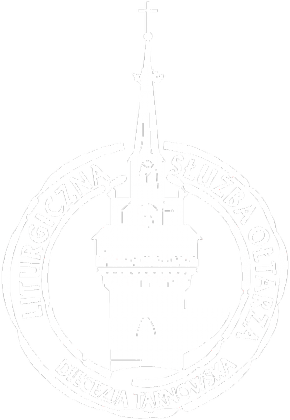 Logo LSO Białe