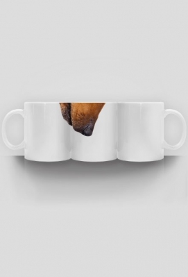 Pies kubek - Canis