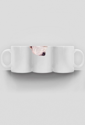 Pies kubek (Beagle) - Canis