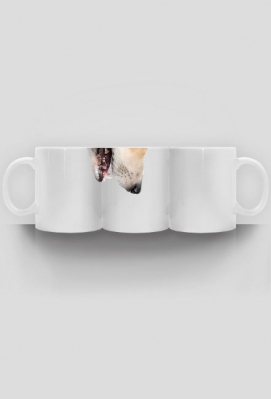 Pies kubek (Corgi) - Canis