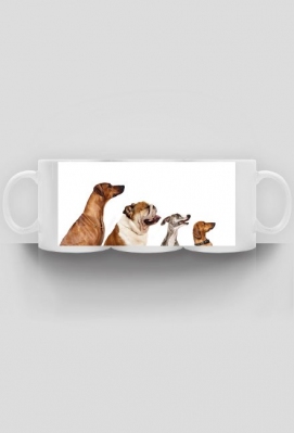 Pies kubek - Canis