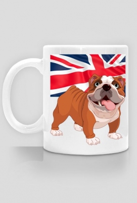 KUBEK | English Bulldog / Buldog Angielski - DOGPERIUM