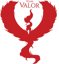 Koszulka Team Valor WH/BL