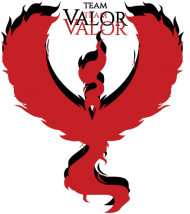 Bluza Zapinana Team Valor Black