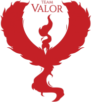 Koszulka Team Valor WH/BL
