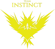 Koszulka Team Instinct YL