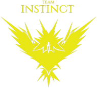 Miś Team Instinct