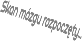 Czapka SKANER