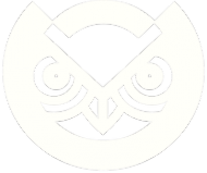 Bluza Owl Dynasty logo/classic Black