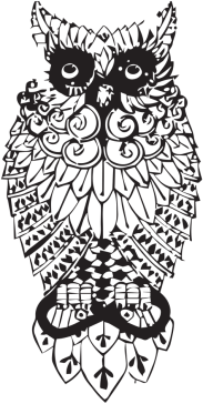Owl Dynasty classic T-shirt