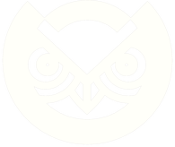 Bluza Owl Dynasty logo/classic Black