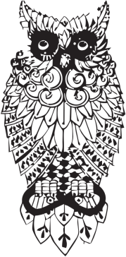 Owl Dynasty classic bluza