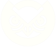 OWL Dynasty logo/classic T-shirt Black