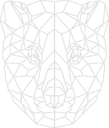 Geometric Fox / Lis