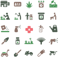 MELO PL - KUBEK MEDICAL WEED