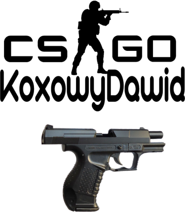 KoxowyDawid Cs Go