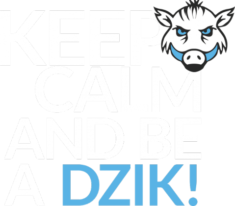 Kepp calm and be a dzik!