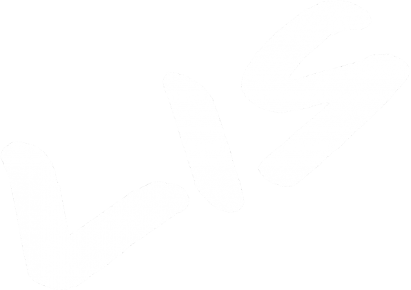 Koszulka "Lew"