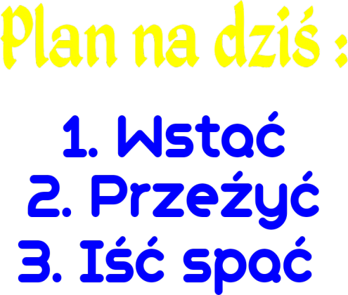T-Shirt Plan na dziś