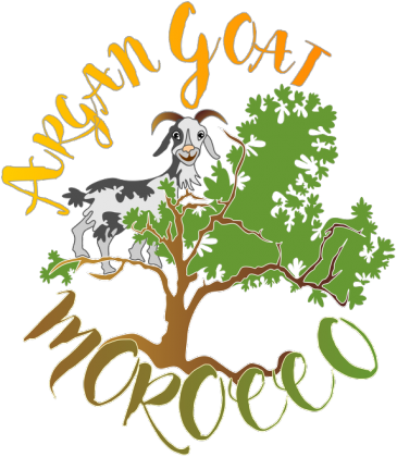 Argan Goat Morocco. Prosty T-Shirt damski