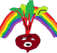 Buraczek codzienny