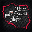 Koszulka damska patriotyczna flaga pasek - OPS #2