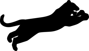 Panterka - nadruk