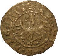 Jan Olbracht (półgrosz) - koszulka