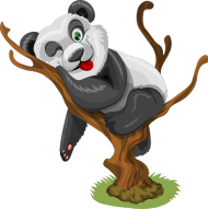 Koszulka dziecięca - Panda na drzewie - STYLOWAKOSZULA.CUPSELL.PL – KOSZULKI I KUBKI NA PREZENT, NIETYPOWE I SMIESZNE KOSZULKI